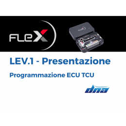 Flex - Programmatore ECU...
